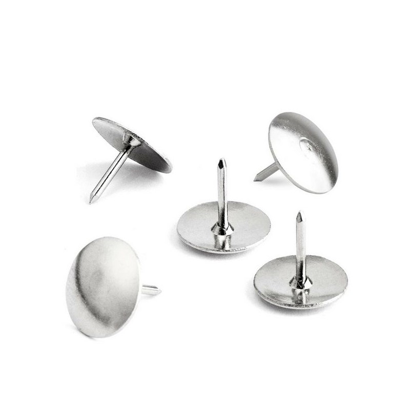 50 Punaises 801 Silver - photo 1