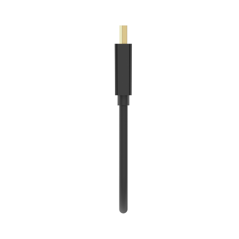 Adaptateur Belkin DisplayPort vers DVI 1080p - photo 4