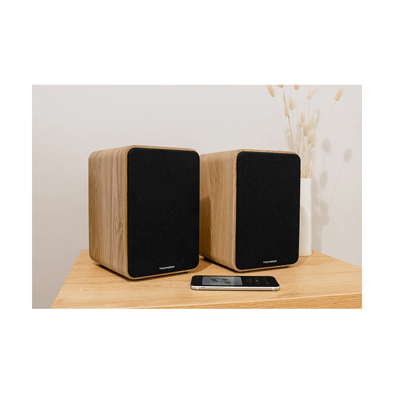 SET 2 ENCEINTES BOIS CLAIR THOMSON 100 Watts - photo 2