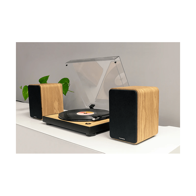 SET 2 ENCEINTES BOIS CLAIR THOMSON 100 Watts - photo 3