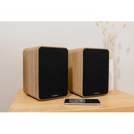 SET 2 ENCEINTES BOIS CLAIR THOMSON 100 Watts - photo 10