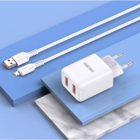 CHARGEUR MICRO-USB  DUAL PORT SMART - photo 17