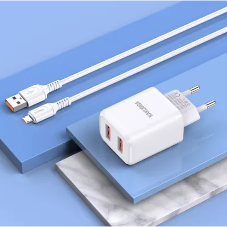 CHARGEUR MICRO-USB  DUAL PORT SMART - photo 17