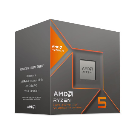 Processeur AMD Ryzen 5 8600G / Box - AMD - photo 7