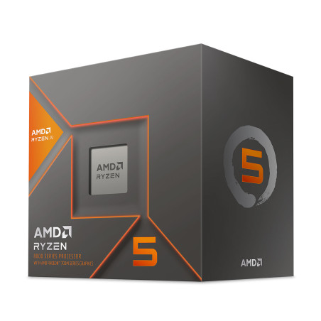 Processeur AMD Ryzen 5 8600G / Box - AMD - photo 8