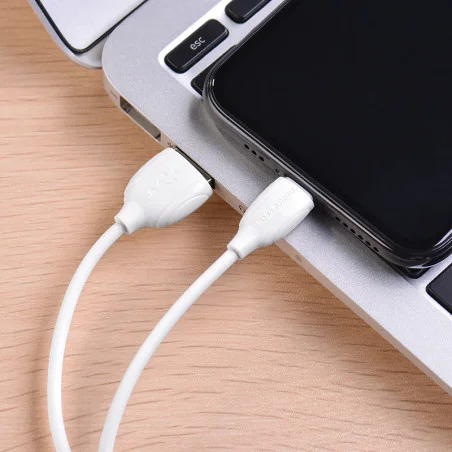 Câble Chargeur USB vers Lightning BOROFONE BX19 / 2.4A / Blanc - photo 8