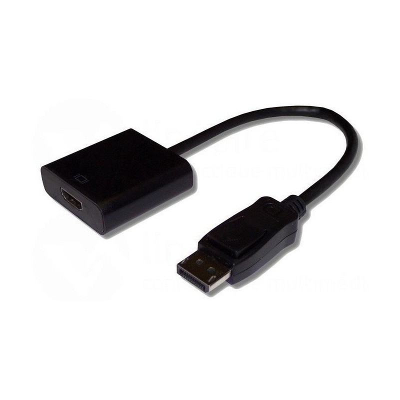 Adaptateur VGA Femelle vers DisplayPort Mâle - photo 1