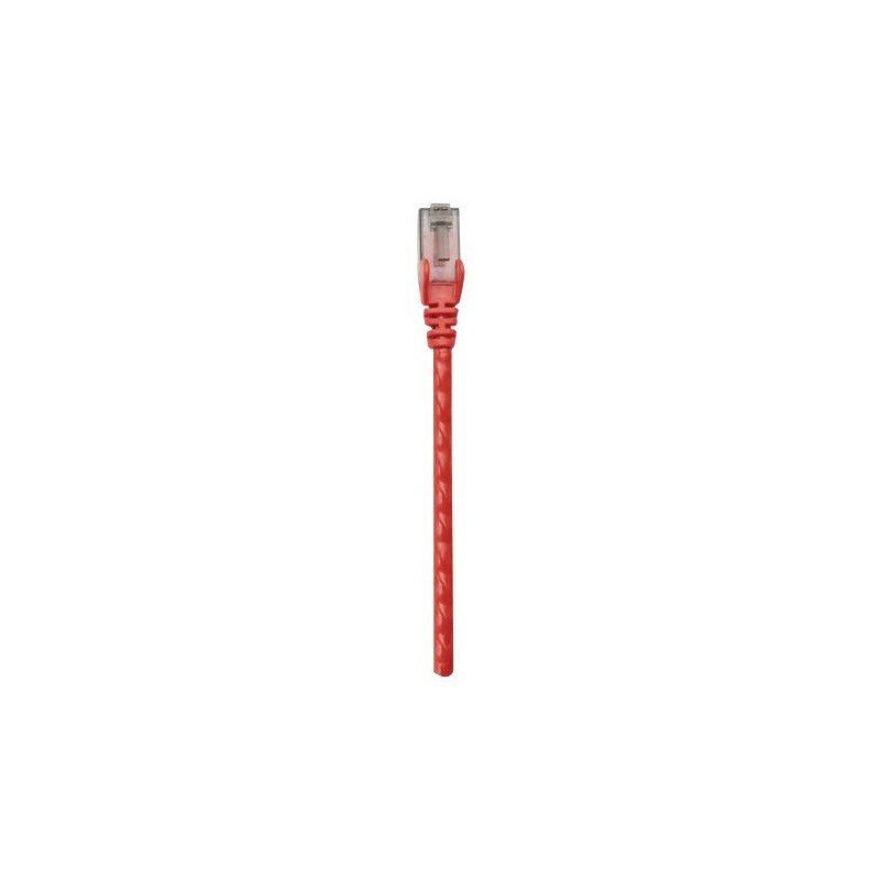 Câble RJ45 Cat 6 UTP 0.5M Rouge - photo 1