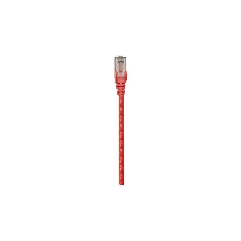 Câble RJ45 Cat 6 UTP 0.5M Rouge - photo 1