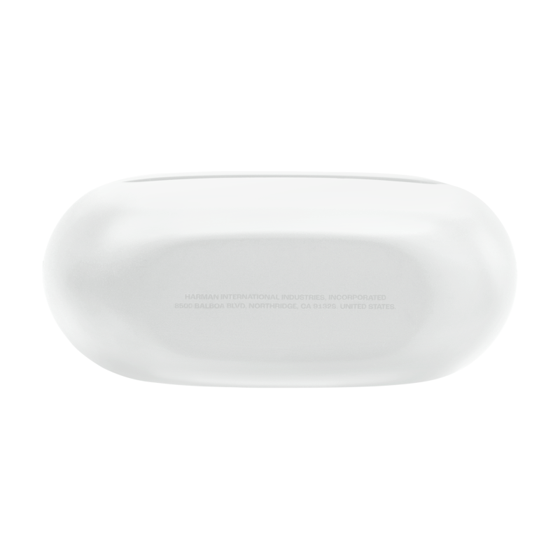 Écouteurs JBL Endurance Race 2 Blanc