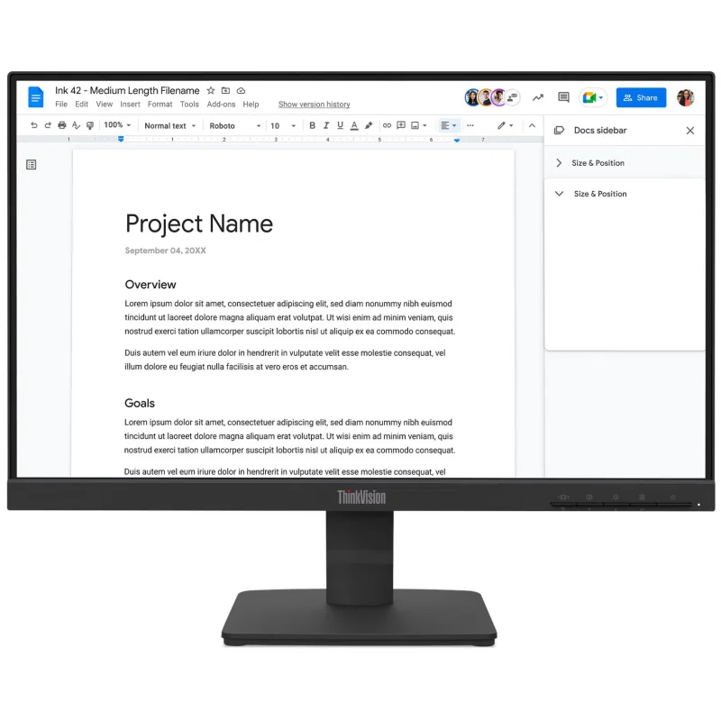 Écran Lenovo Think Vision S22-4e 21.5" FHD 4ms GtG IPS 100Hz HDMI/VGA / BLACK