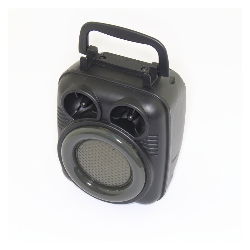 Haut Parleur Bluetooth LS-1015 Noir