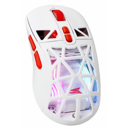 Souris Gamer Filaire BARACUDA SEAL BGM-091 / Noir - variant BGM-092W - photo 9